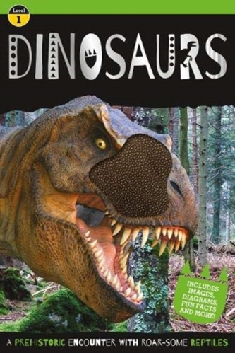 Go Wild Dinosaur