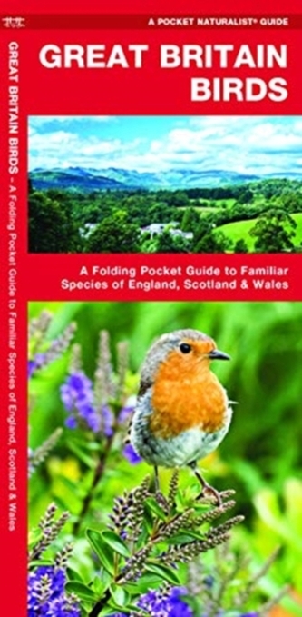 Great Britain Birds