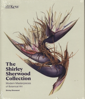 Shirley Sherwood Collection