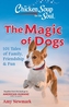 Chicken Soup for the Soul: The Magic of Dogs