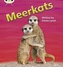 Bug Club Phonics Non-fiction Set 22 Meerkats