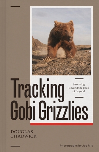 Tracking Gobi Grizzlies