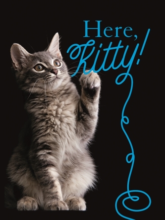 Here, Kitty!
