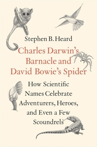 Charles Darwin?s Barnacle and David Bowie?s Spider