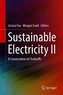 Sustainable Electricity II