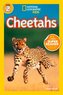 National Geographic Kids Readers: Cheetahs
