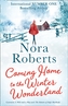 Coming Home To The Winter Wonderland