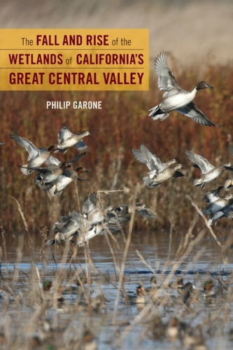 The Fall and Rise of the Wetlands of California's Great Central Valley