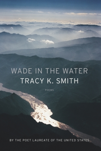 WADE IN THE WATER