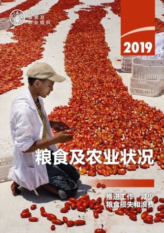The State of Food and Agriculture 2019 (Chinese Edition)