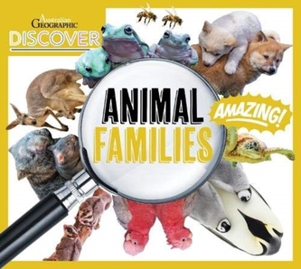 Discover: Animal Families