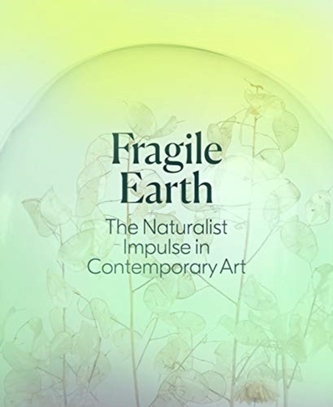 Fragile Earth