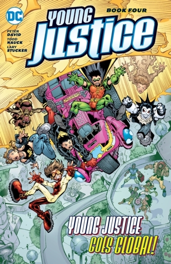Young Justice Book Four