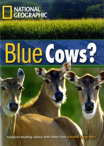 Blue Cows?
