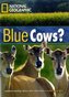 Blue Cows?