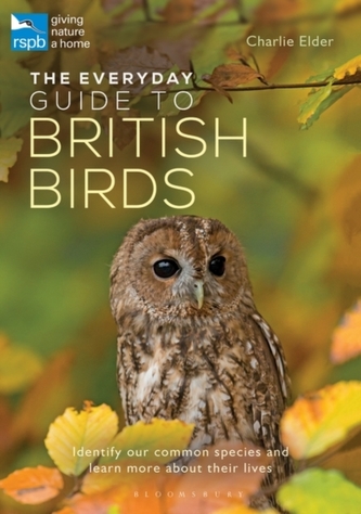 The Everyday Guide to British Birds