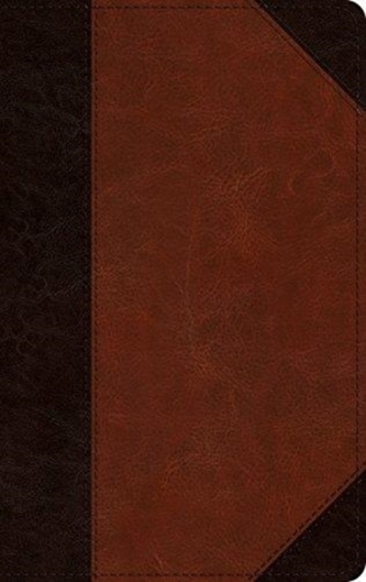 ESV Large Print Personal Size Bible