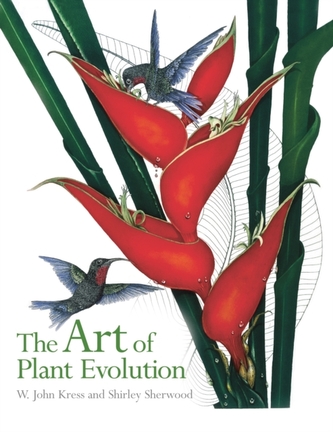 Art of Plant Evolution