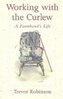 Working with the Curlew