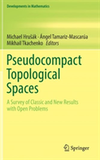 Pseudocompact Topological Spaces