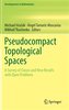 Pseudocompact Topological Spaces