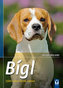 Bígl - Výběr, chov, výcvik, zábava