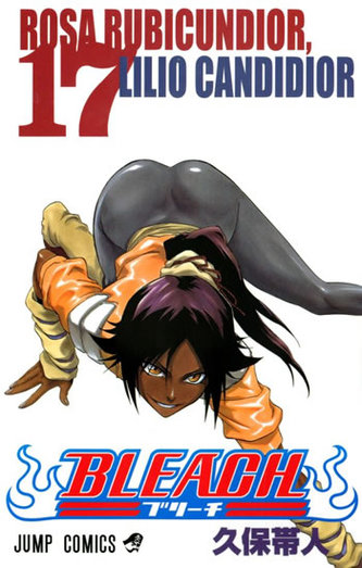 Bleach 17