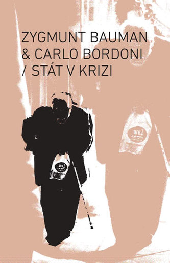 Stát v krizi Stát v krizi