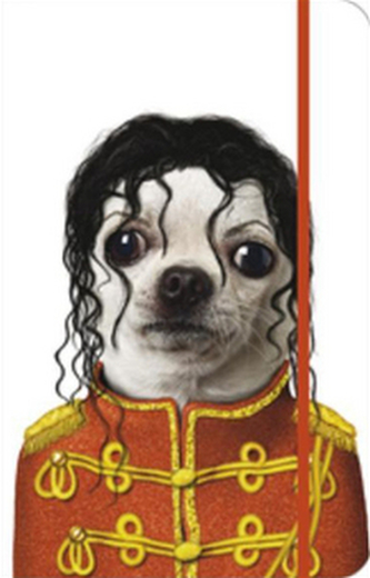 Notes s gumičkou Michael Jackson