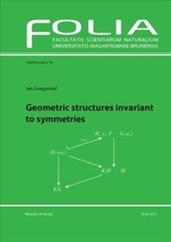 Geometric structures invariant to symmetries