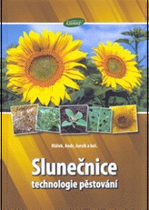 Slunečnice - technologie pěstování