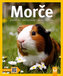 Morče - Jak na to