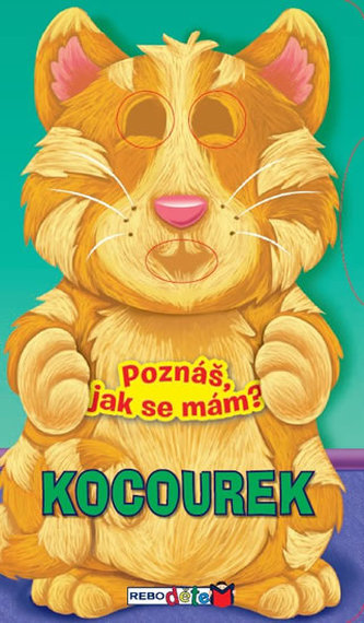 Kocourek - Poznáš, jak se mám?