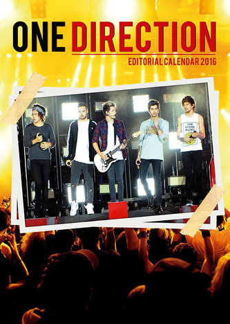 Kalendář nástěnný 2016 - ONE DIRECTION