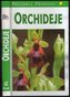 Orchideje