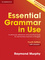 Essential Grammar in Use 4th Edition: Edition with answers