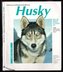 Husky - Jak na to