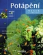 Potápění