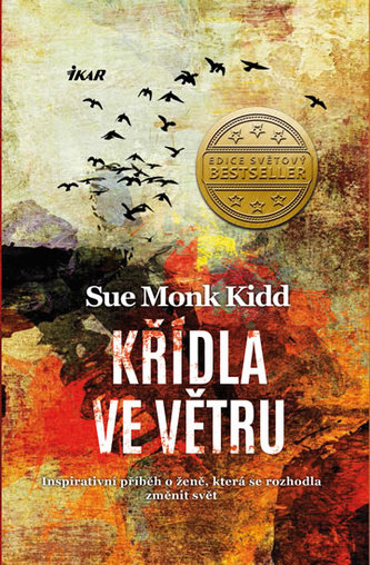 Křídla ve větru - Inspirativní příběh o ženě, která se rozhodla změnit svět