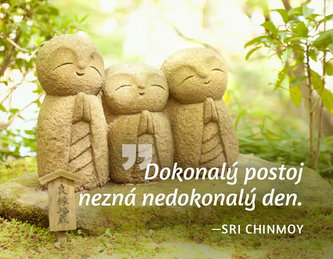 Magnet na lednici Dokonalý postoj...