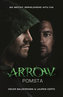 Arrow 1 - Pomsta