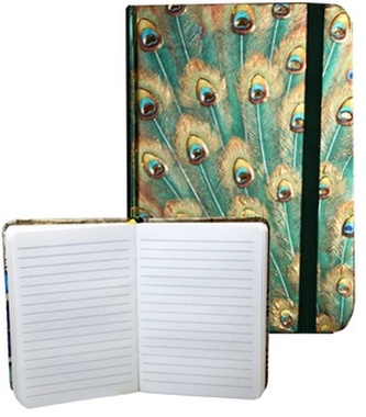 Zápisník s gumičkou 95x140 mm paví pera A