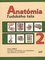 Anatómia ľudského tela 2