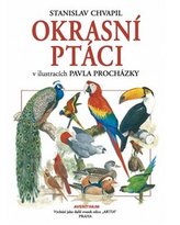 Okrasní ptáci v ilustracích Pavla Procházky