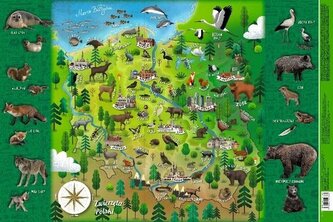 Mappuzzle Junior - Zwierzęta Polski - podkładka