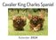 Cavalier King Charles Spaniel (Wandkalender 2024, Kalender DIN A4 quer, Monatskalender im Querformat mit Kalendarium, Das perfek