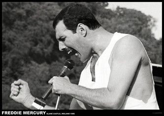 Plakát, Obraz - Freddie Mercury - Slane castle, Ireland 1996, 84.1 × 59.4 cm