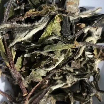 Tea Specialty White Bai Mu Dan / White Peony 50g