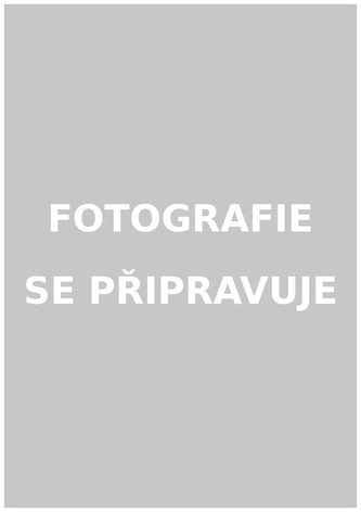 Buggy Kočárek pro psy 47 x 100 x 80 cm  Béžová