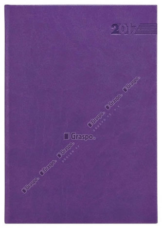 Diář 2017 - Rio týdenní A5